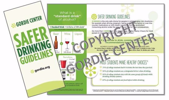 Safer Drinking Guidelines Brochure